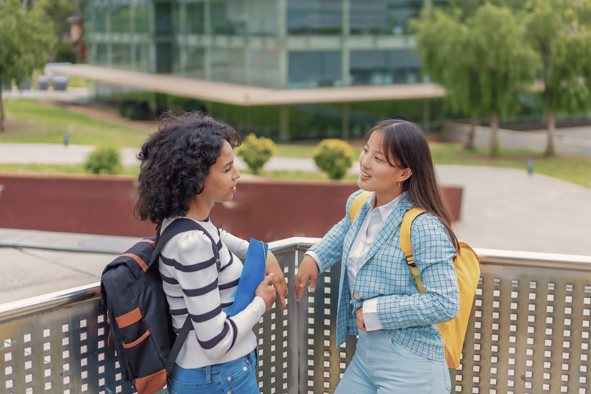 Untitled design (17)